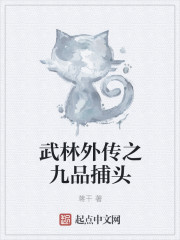 武林外传之九品捕头