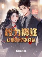 权力巅峰从借调纪委开始小说全文下载