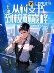 从村支书到仕途巅峰