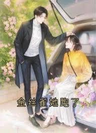 军阀：开局给袁大帅献玉玺