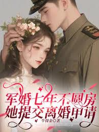 军婚七年不圆房，她提交离婚申请