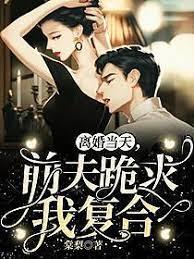 离婚当天前夫跪求我复合完整版在线免费阅读