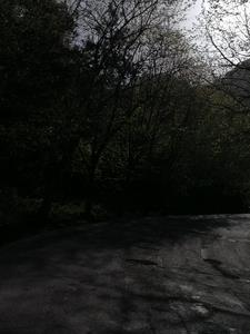 凝望仙路小说全文免费阅读无广告