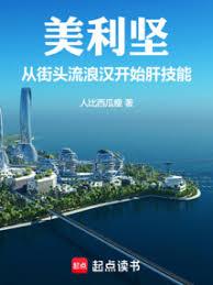 美利坚：从街头流浪汉开始肝技能小说免费阅读在线