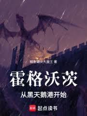 霍格沃茨：从黑天鹅港开始