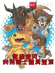 数码宝贝：我用骑士道具登顶