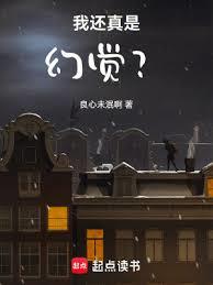 我还真是幻觉？全本TXT免费下载