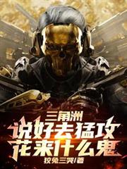 三角洲：说好去猛攻，花来什么鬼TXT免费阅读全文