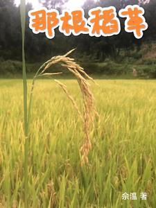 那根稻草小说无删减正版