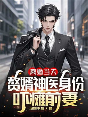 离婚当天，赘婿神医身份吓瘫前妻刚刚更新章节阅读