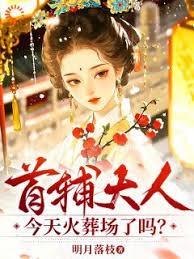 首辅大人今天火葬场了吗？