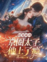 暗宠成真，京圈太子他上了瘾