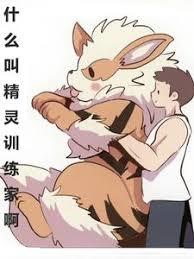 我人形宝可梦，才不当精灵大师！