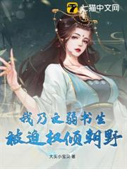 我乃文弱书生，被迫权倾朝野