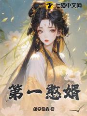 第一憨婿