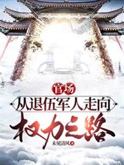 官场：从退伍军人走上权力之路