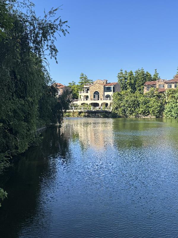 综影：我自有精彩电子书下载txt