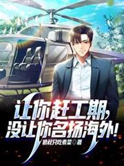 让你赶工期，没让你名扬海外！最新章节更新