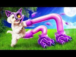 我的玩家都是邪修