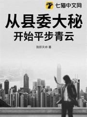 从县委大秘开始平步青云