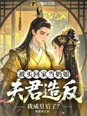 被买回家当奶娘，夫君造反我成皇后了？