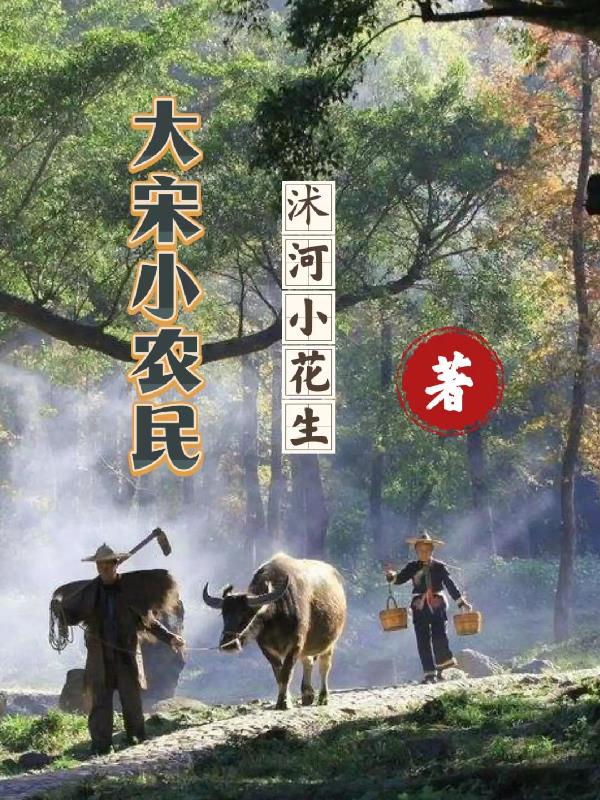 大宋小农民手机电子书txt免费下载