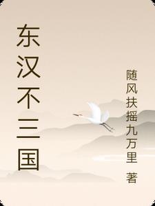 东汉不三国小说介绍