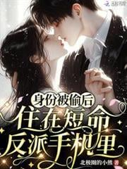 身份被偷后，住在短命反派手机里