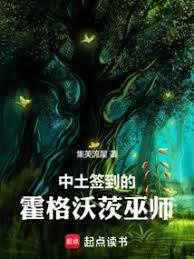 中土签到的霍格沃茨巫师