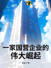 一家国营企业的伟大崛起