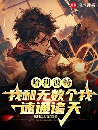 哈利波特：我和无数个我速通诸天txt小说下载