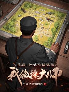 抗战：什么作战模拟，我微操大师无删减新笔趣阁