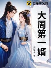 大周第一婿笔趣阁最新章节
