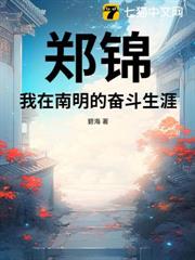 郑锦：我在南明的奋斗生涯