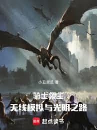 骑士领主：无限仿真与光明之路